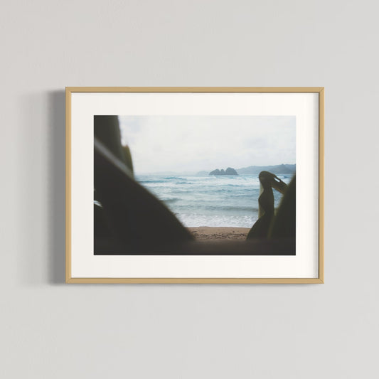 Between Ferns - Framed Print