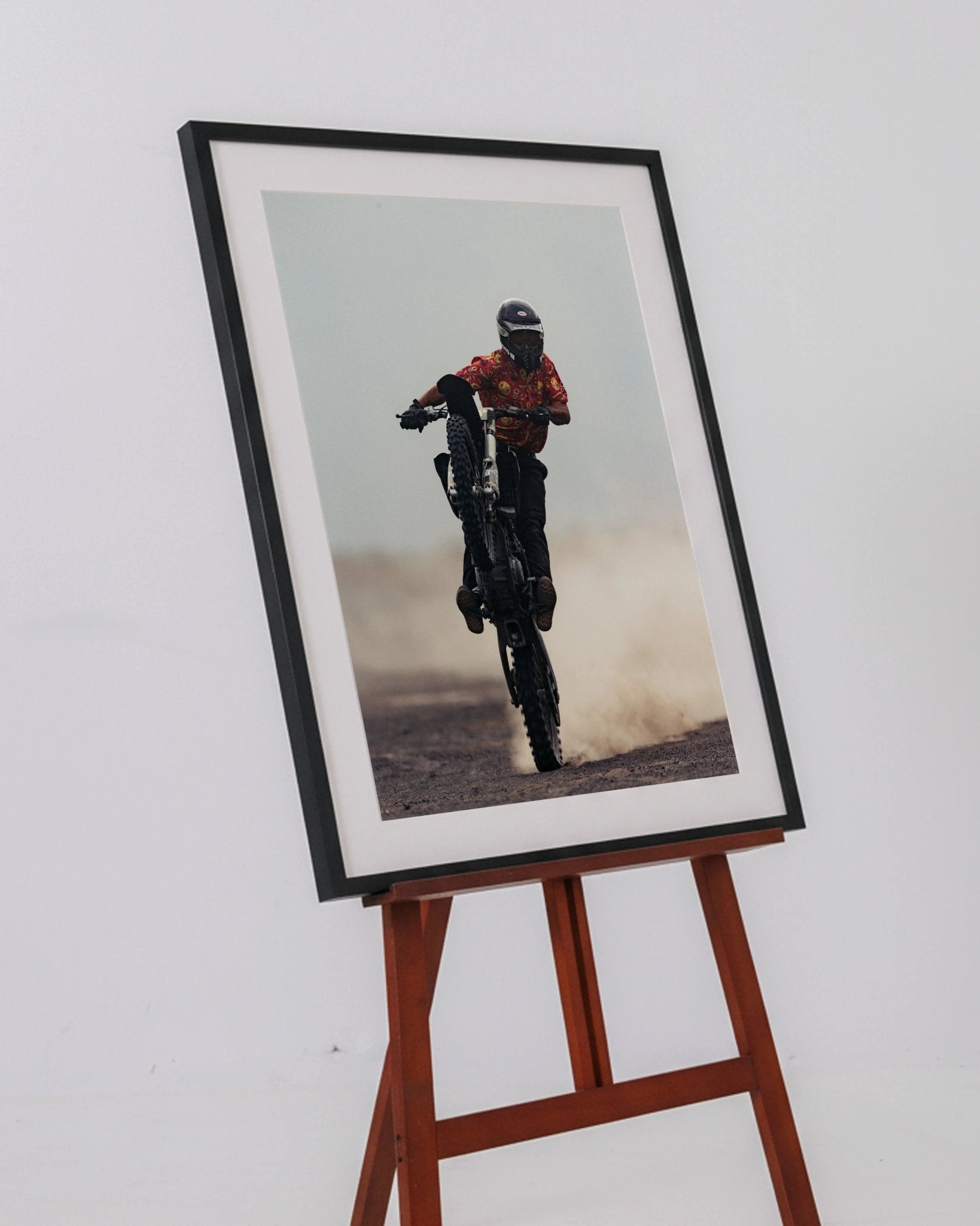 Desert Horse - walprints.com