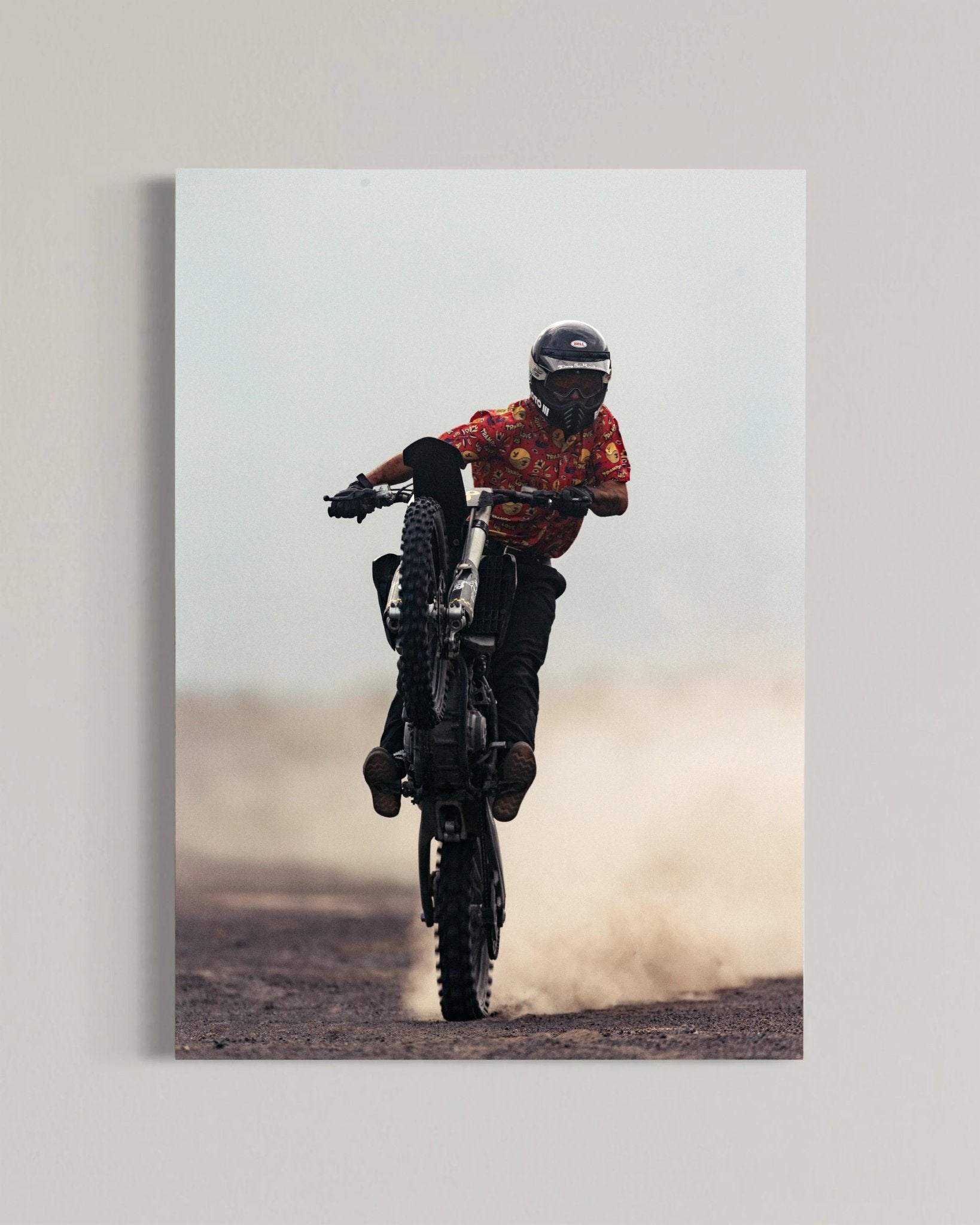 Desert Horse - walprints.com