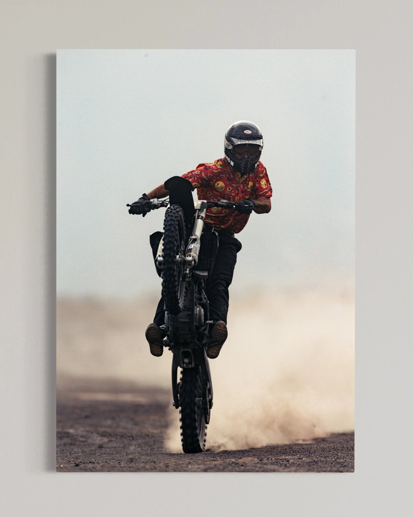 Desert Horse - walprints.com