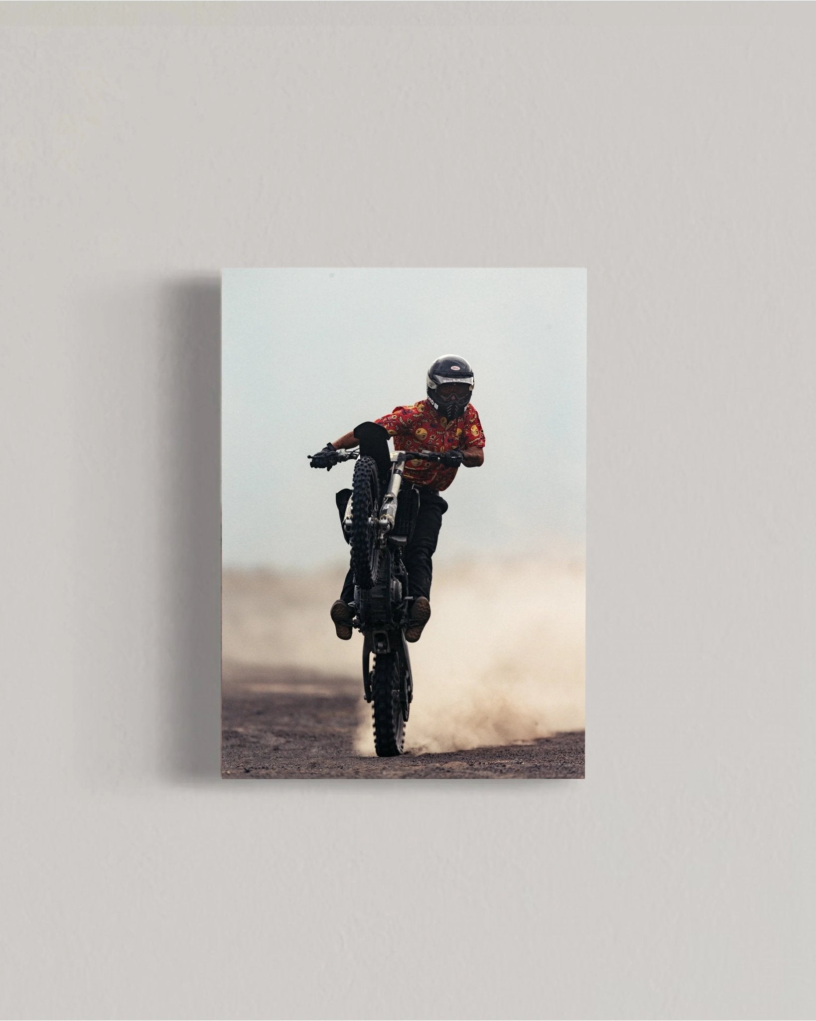 Desert Horse - walprints.com