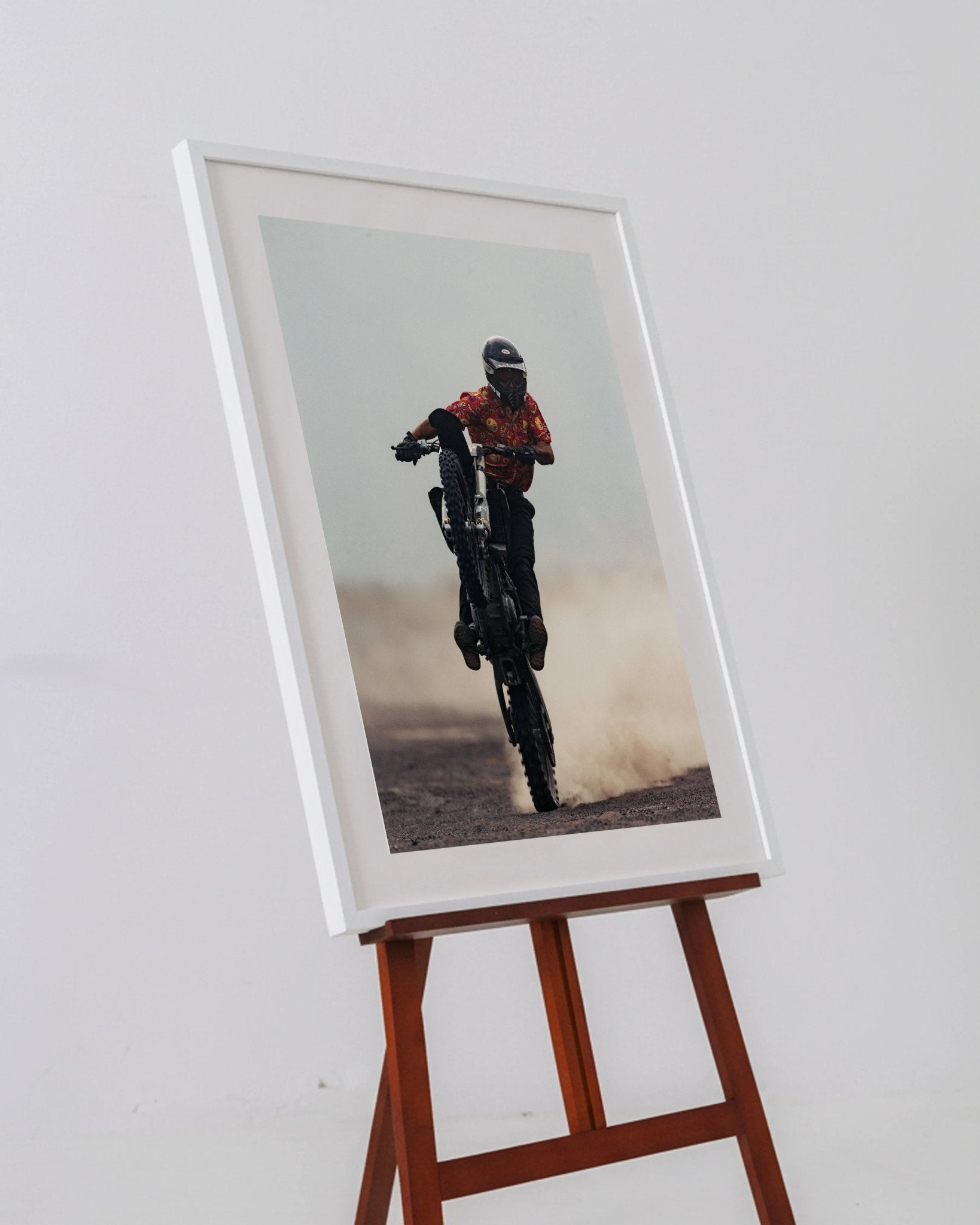 Desert Horse - walprints.com