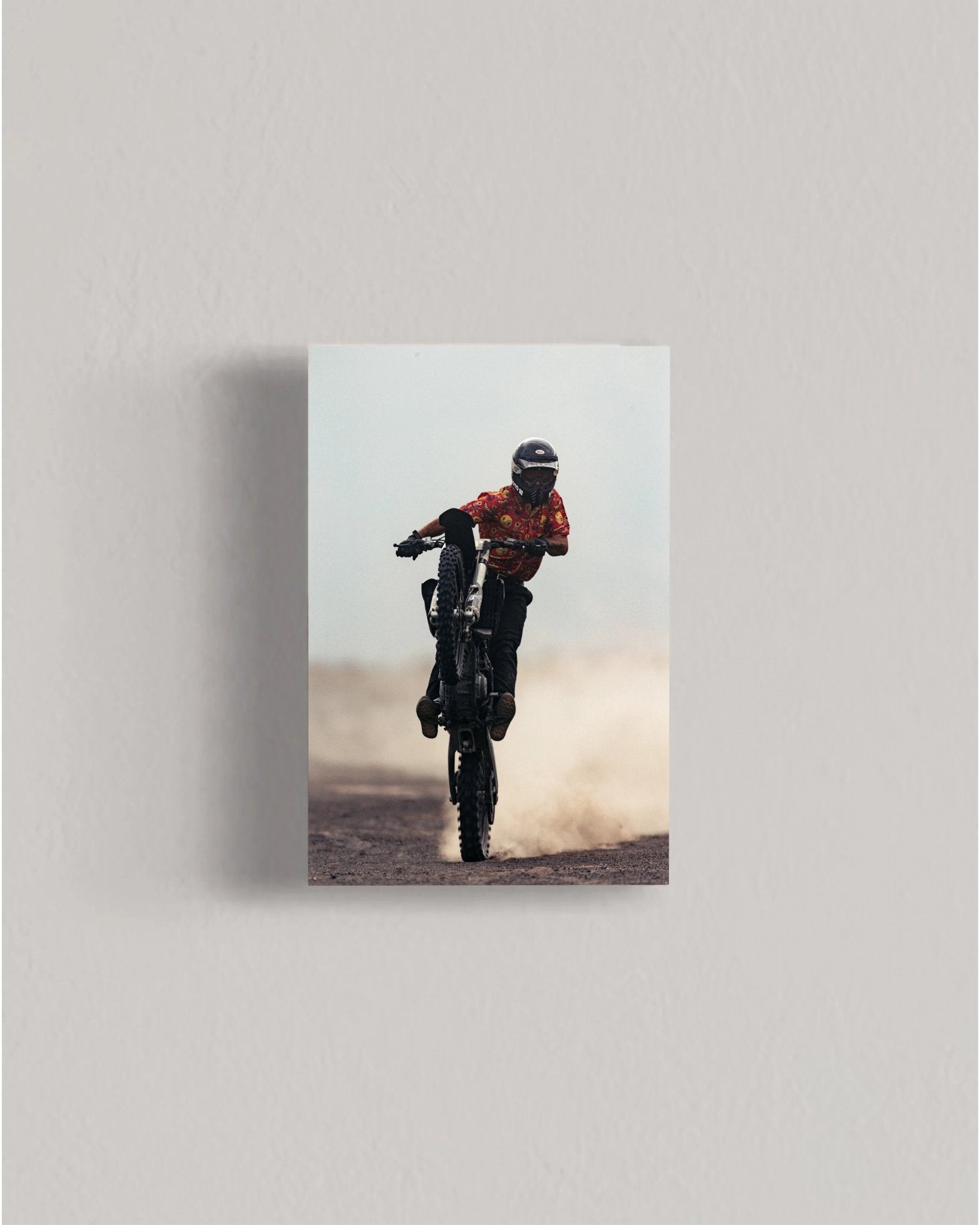 Desert Horse - walprints.com