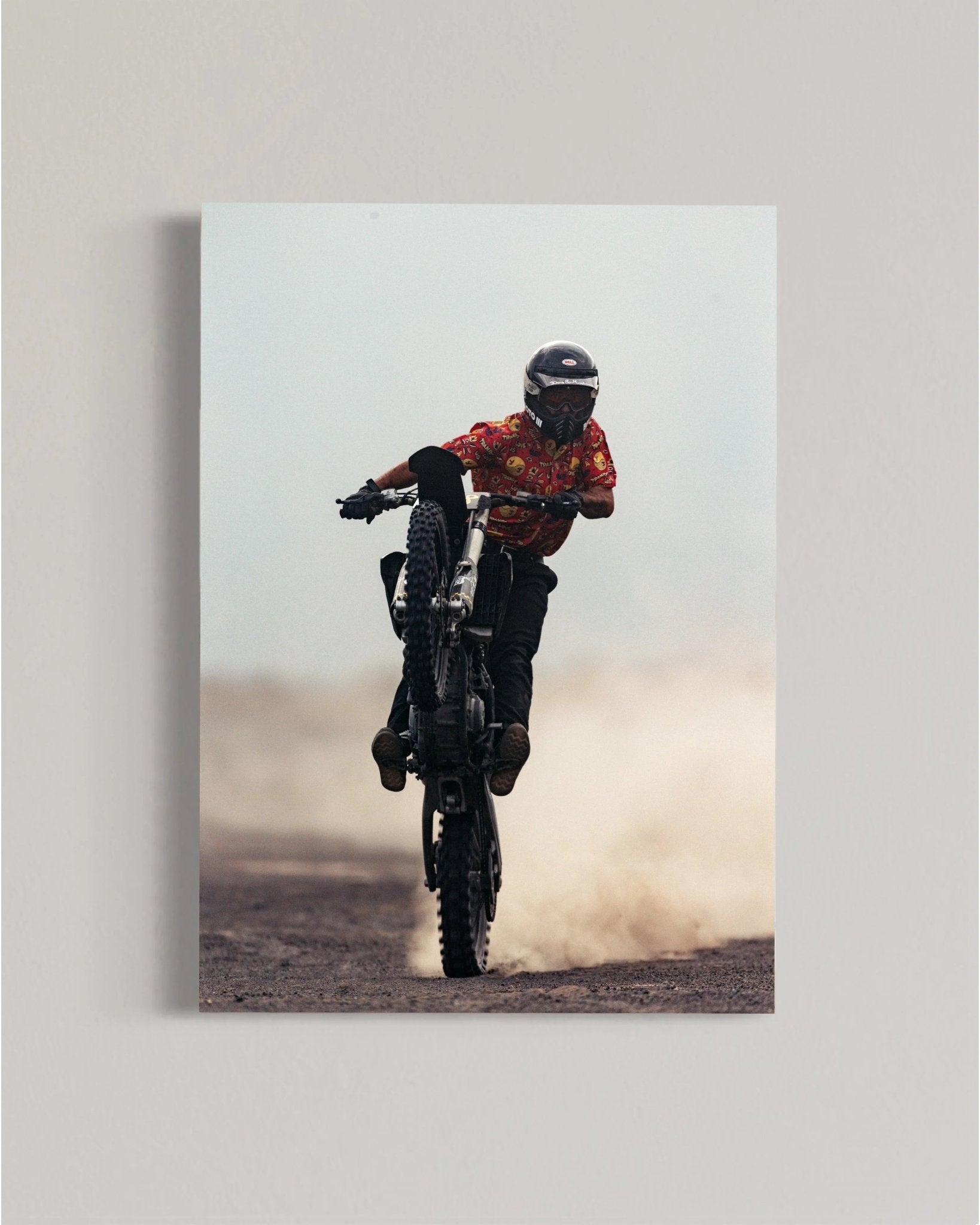 Desert Horse - walprints.com